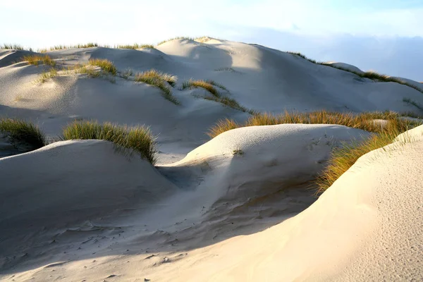 Panoramisch Uitzicht Duinen Selectieve Focus — Stockfoto