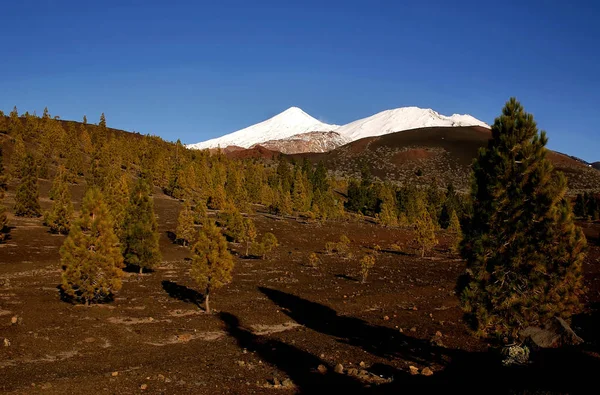 Tenerife Carnaval Santa Cruz Più Grande Delle Isole Canarie Spains — Foto Stock