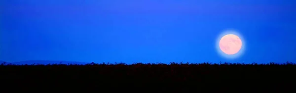 Brown Field Blue Sky Moon — Stock Photo, Image