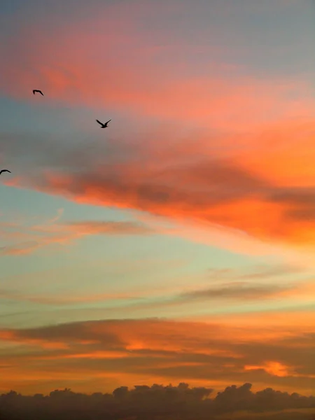 Sonnenuntergang Über Dem Meer — Stockfoto