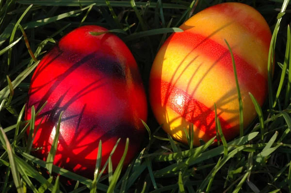 Colorful Easter Eggs Spring Food — Stock Photo, Image