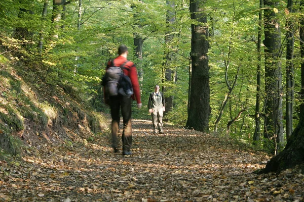 Man Vrouw Wandelen Het Bos — Stockfoto