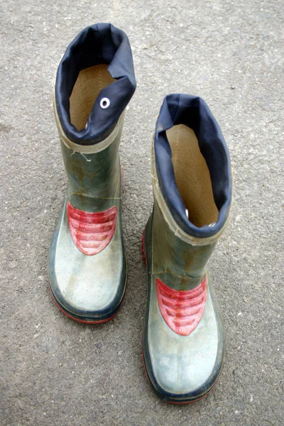 Rubber Boots Wellingtons — Stock Photo, Image