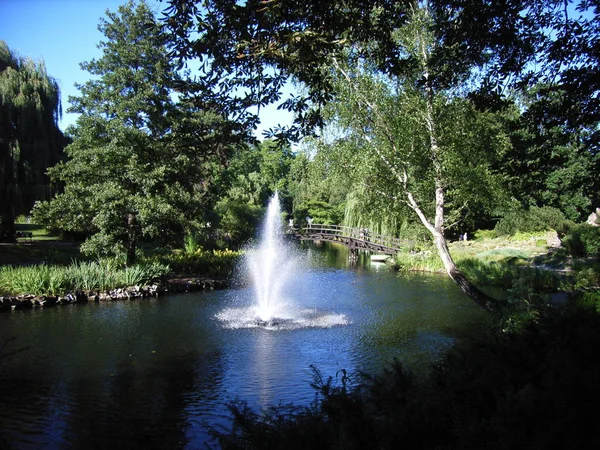 Schöne Aussicht Auf Die Natur — Stockfoto