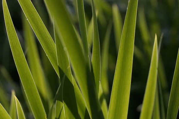 Schöne Aussicht Auf Die Natur — Stockfoto