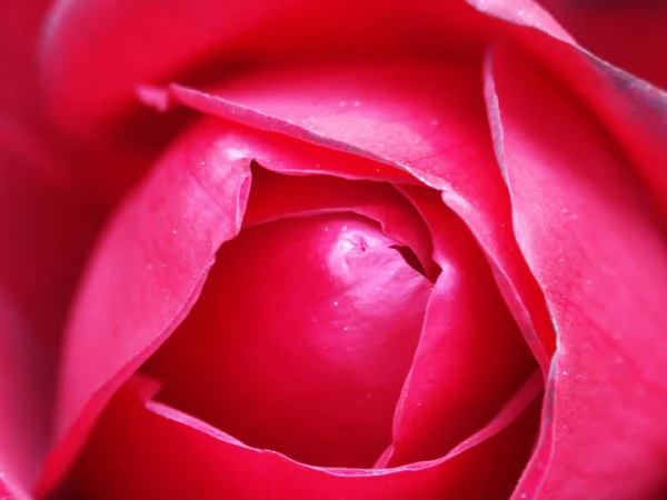 Bunter Hintergrund Für Valentinstag Karte — Stockfoto