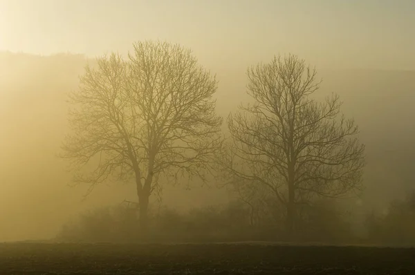 Morgonstämning Hösten — Stockfoto