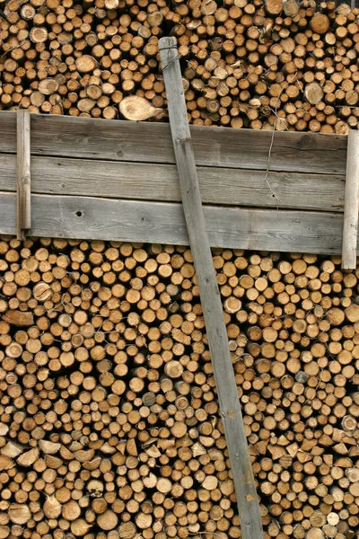 Logs Timber Firewood Trunks — Stock Photo, Image