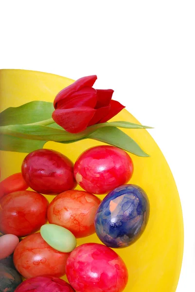 Easter Eggs Red Yellow Tulips — Stock Photo, Image