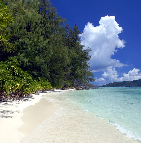 Picturesque Far Flung Beach Only Accessible Dirt Track Anse Takamaka — Stock Photo, Image