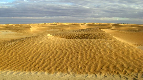 Vista Panoramica Delle Dune Focus Selettivo — Foto Stock