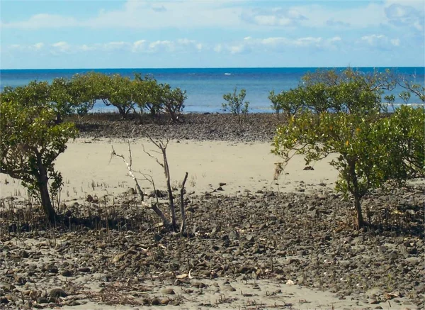 Vackert Tropiskt Strandlandskap — Stockfoto