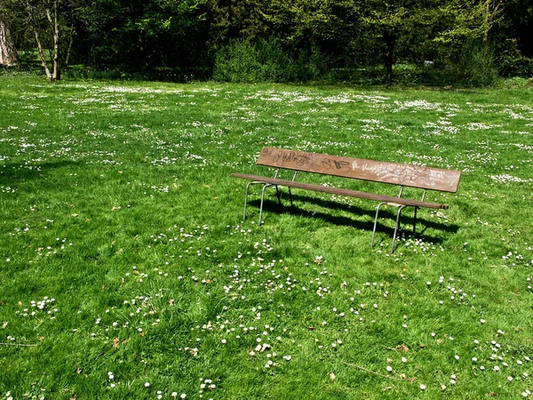 緑の牧草地にある公園ベンチ — ストック写真