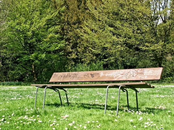 Park Bench Green Meadow — Stock Photo, Image