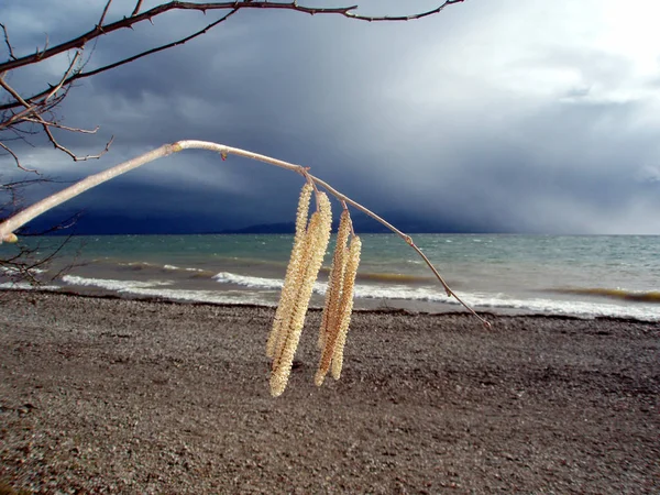 美しい海の海岸の眺め — ストック写真