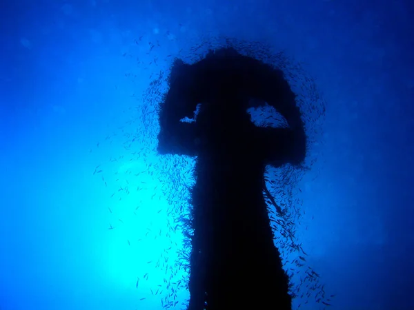 Mât Hms Rosalie Moller Rétro Éclairé Avec Poisson Tournant — Photo