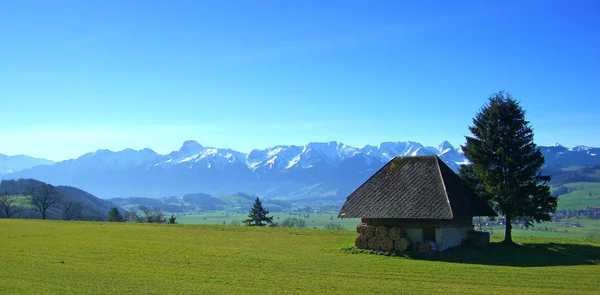 Munitie Bij Fhn Met Alpenblick Het Voorjaar — Stockfoto