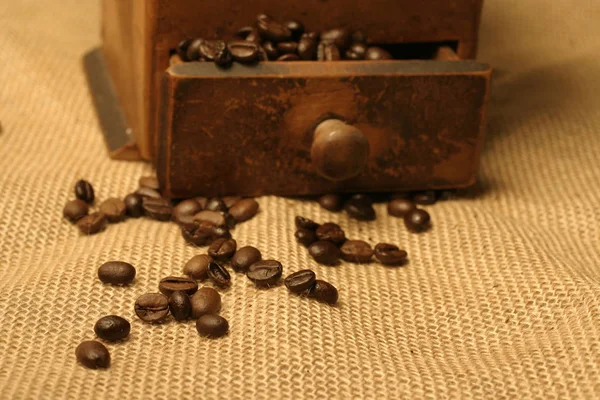 Coffee Beans Background Close — Stock Photo, Image