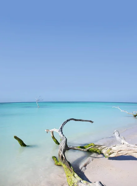 Caribische Zee Curacao Willemstad Abc Eilanden — Stockfoto