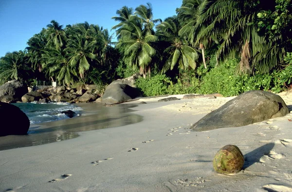 Seszele Indyjska Wyspa Mahe Ocean Widokiem Wyspę Eden — Zdjęcie stockowe