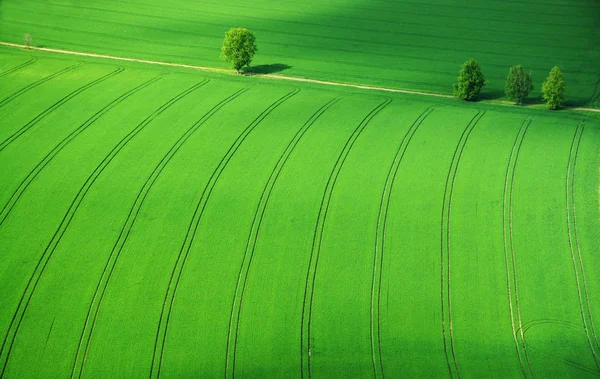 Foto Uit Een Andere Wereld — Stockfoto