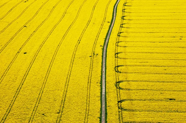 Hatte Ein Ähnliches Bild Gezeigt Aber Nur Ein Ähnliches — Stockfoto