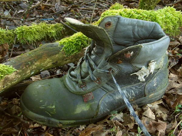Discarded Forest Shoe — Stock Photo, Image