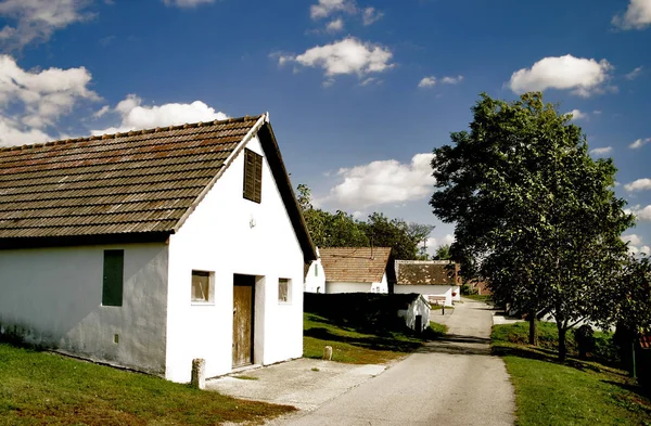 Man Har Tur Och Träffar Vinmakare Vilket Inte Särskilt Svårt — Stockfoto