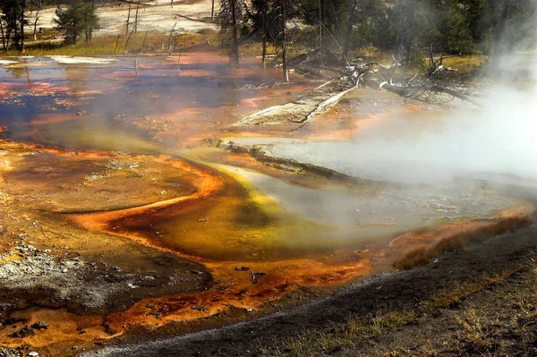 Ζεστή Πηγή Στο Εθνικό Πάρκο Yellowstone — Φωτογραφία Αρχείου