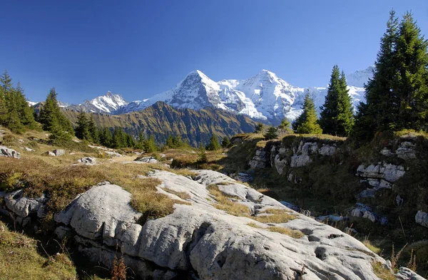 Vue Panoramique Sur Magnifique Paysage Alpin — Photo