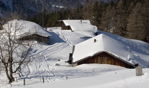 Hermoso Paisaje Invierno Nevado —  Fotos de Stock