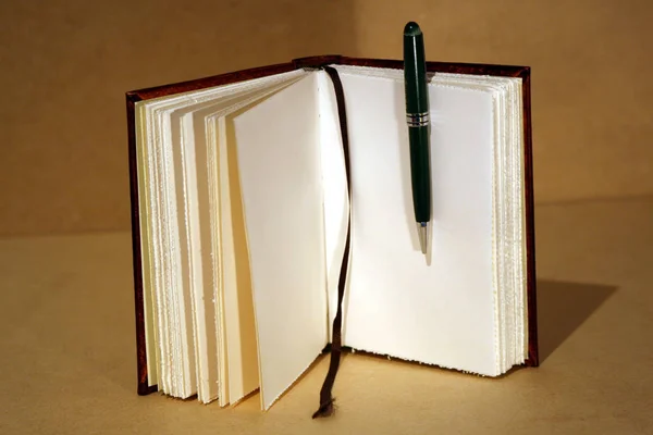 Masanın Üzerinde Kalem Olan Eski Bir Kitap — Stok fotoğraf