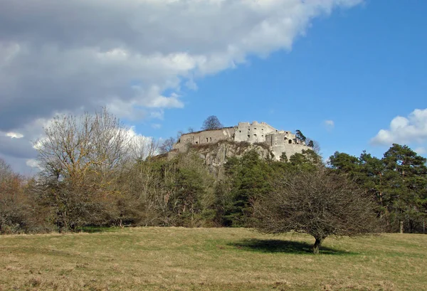 Hohentwiel Itself Very Steep Volcanic Cone Whose Feet City Singing — Stok fotoğraf