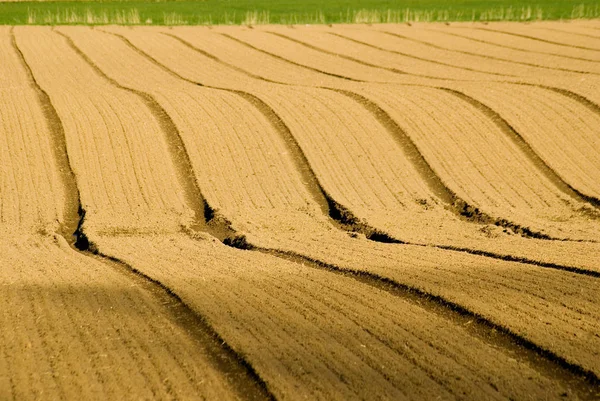 Kırsal Kesimdeki Tarımın Manzarası — Stok fotoğraf