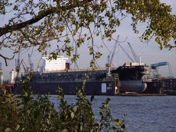 Containertransport Lastfartyg Sjötransport — Stockfoto