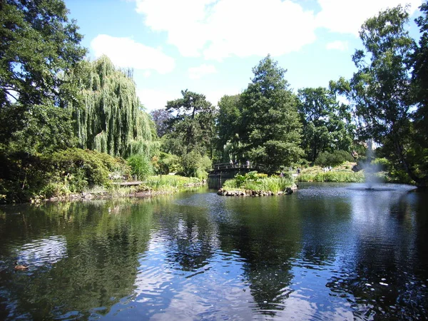 Hermoso Plano Botánico Fondo Pantalla Natural — Foto de Stock