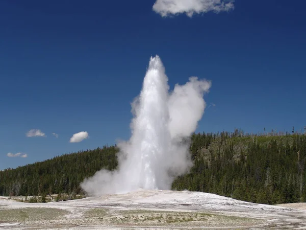 Weltweit Uno Los Más Famosos Geysers Parque Nacional Yellowstone Como —  Fotos de Stock