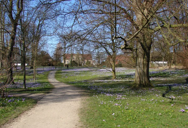 Frühling Park — Stockfoto