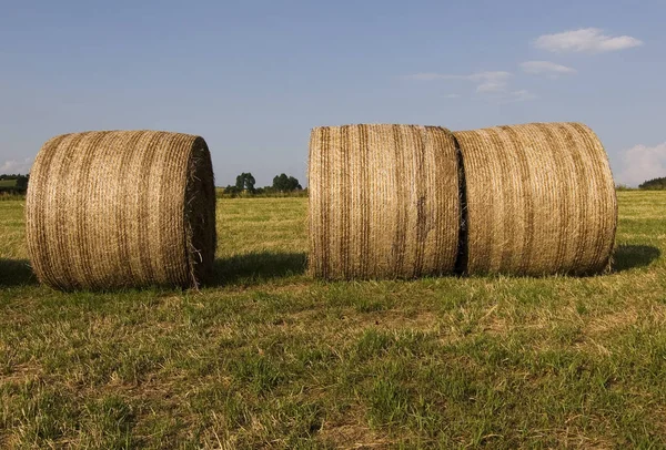 田舎の農業の風景 — ストック写真