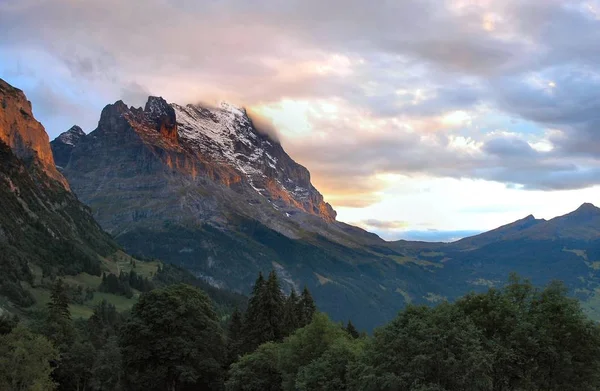 Alpenglow Grindelwald — Fotografia de Stock