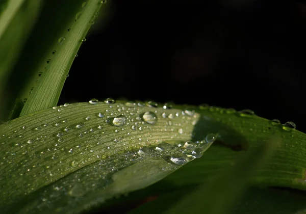 Hour Silence — Stock Photo, Image