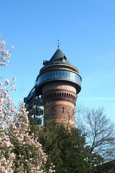 Meest Zichtbare Bezienswaardigheid Van Domburg Watertoren — Stockfoto