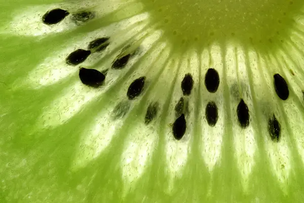 Kiwi Verde Frutas Tropicales — Foto de Stock