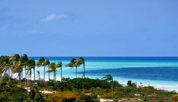 Picturesque View Beautiful Seashore Stock Image