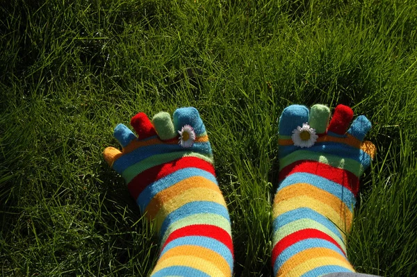 Ноги Детей Траве — стоковое фото