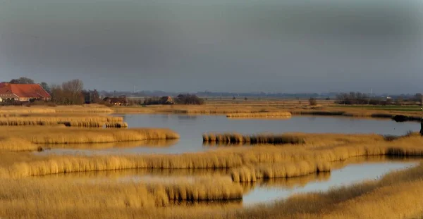 Belle Vue Sur Les Paysages Naturels — Photo