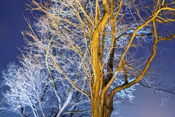 Mis Primeros Intentos Grabación Nocturna Hubiera Gustado Probar Dri Pero — Foto de Stock