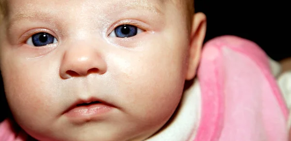 Potret Bayi Yang Lucu — Stok Foto