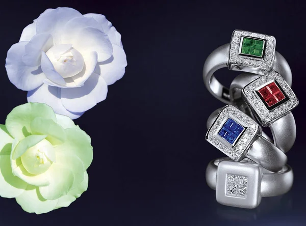Mücevher Tasarımı Yüzükler Gümüş Mücevherler — Stok fotoğraf
