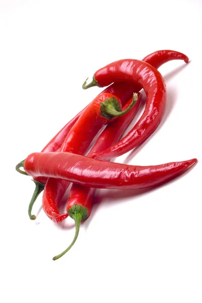 Peperoncino Rosso Isolato Sfondo Bianco — Foto Stock